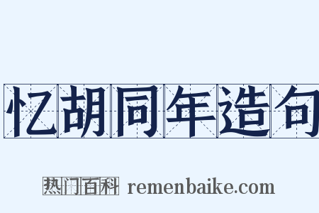 忆胡同年造句是什么意思的图片